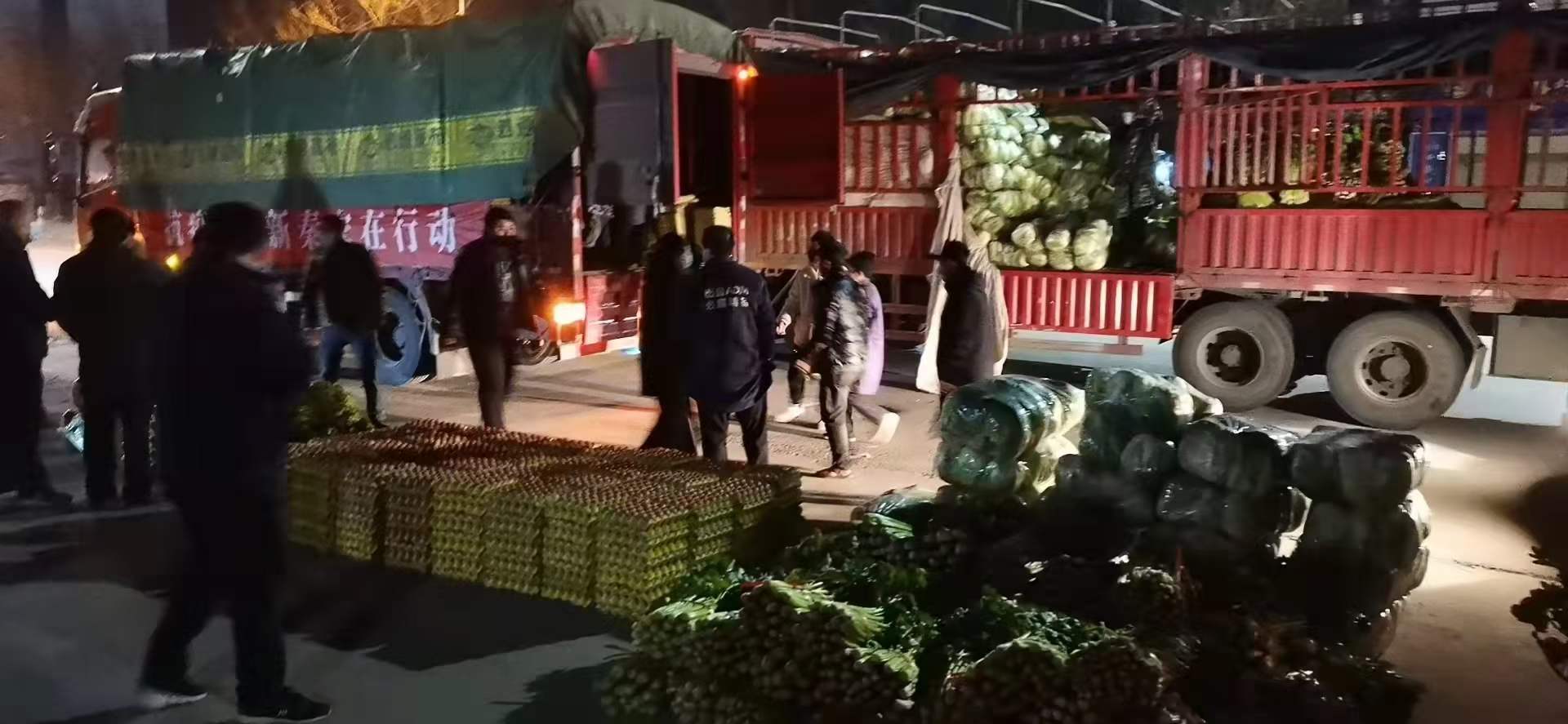 感謝黨和政府對我公司送來新鮮蔬菜，愿，國無恙，山河永固，加油，西安！